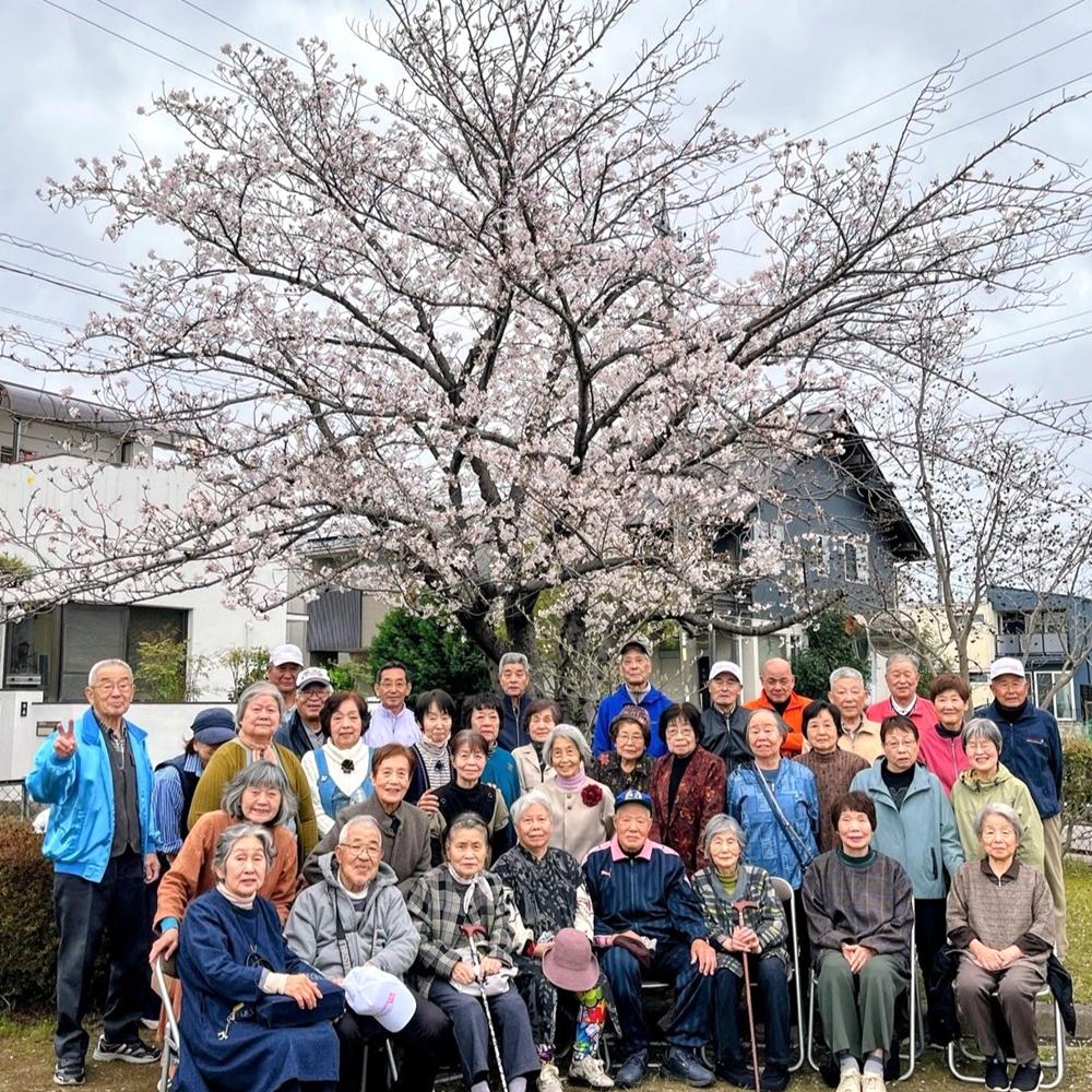 2026-04-01 寿会お花見会1